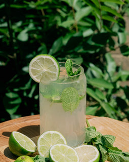 Mint Mojito